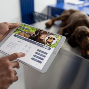 Curso de Gestión y Comunicación en Clínicas Veterinarias