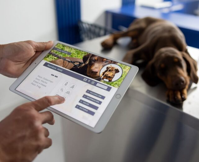 Curso de Gestión y Comunicación en Clínicas Veterinarias Curso de Gestión y Comunicación en Clínicas Veterinarias